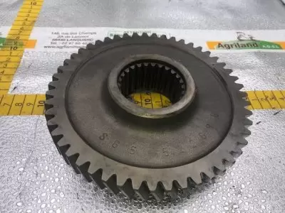 PIGNON D'ENTRAINEMENT  Z51