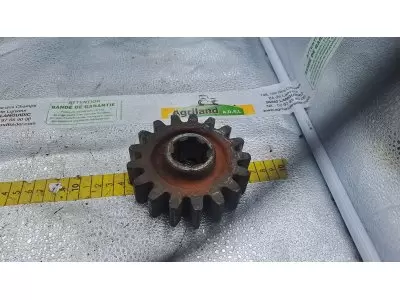 PIGNON Z17