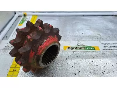 PIGNON DOUBLE Z13/13