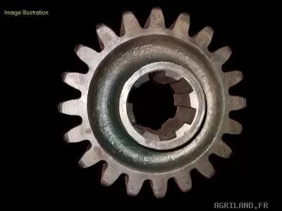 PIGNON Z20