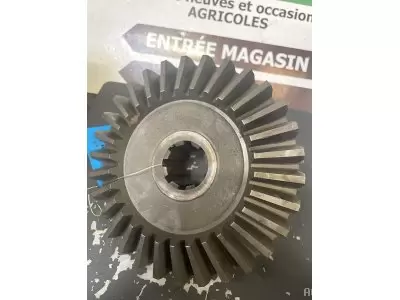 PIGNON CONIQUE Z30