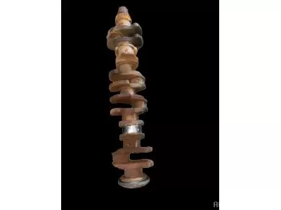 VILEBREQUIN RECONSTRUIT