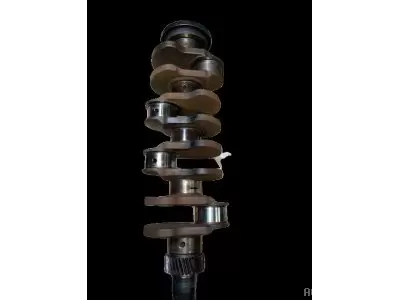 VILEBREQUIN AVEC PIG Z30