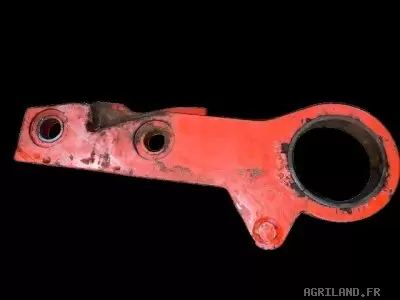 PATTE D'ETANÇON ( ŒILLET) 