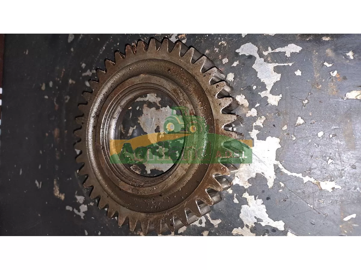 PIGNON INTERMEDIAIRE Z29 LP : 969