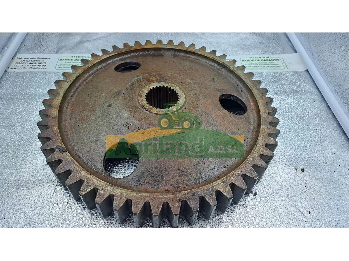 PIGNON Z49 LATERAL  LP : 1440