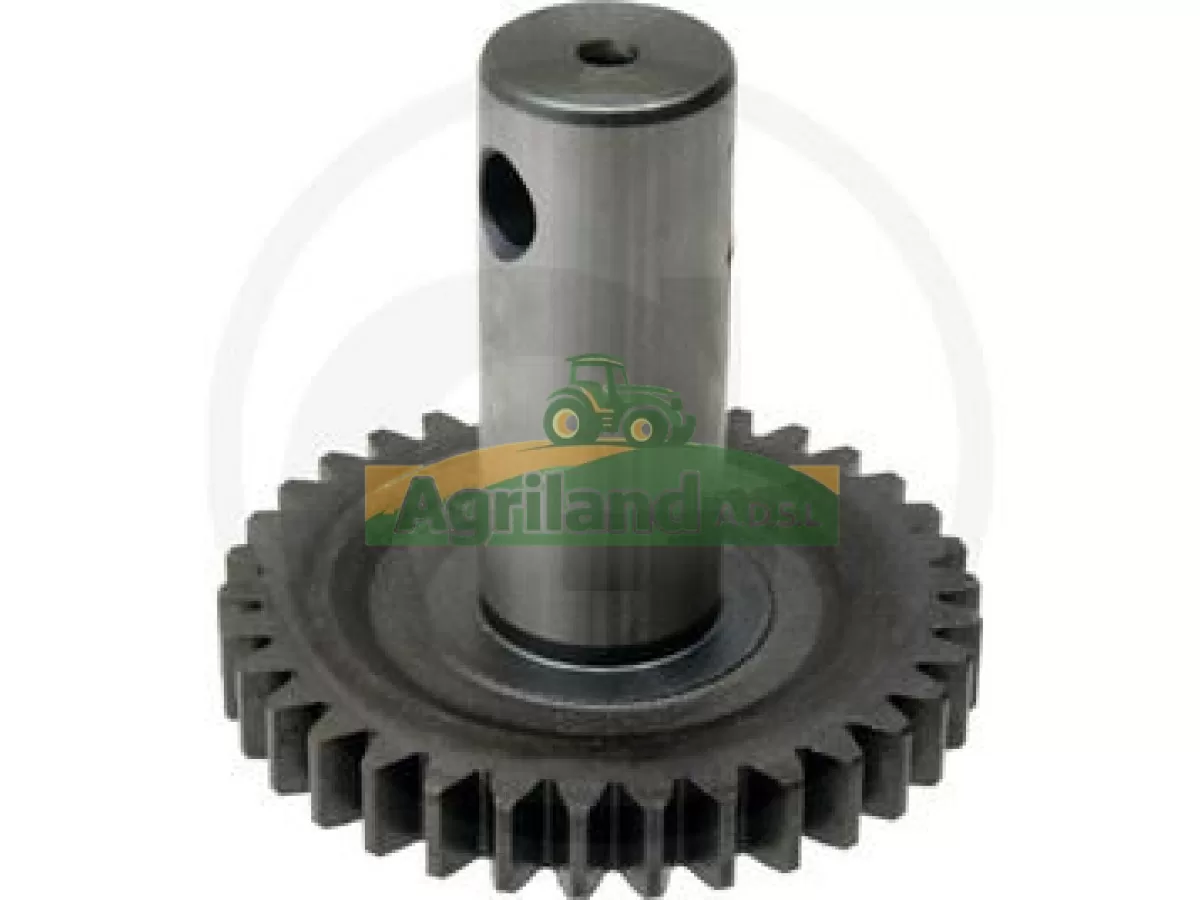 PIGNON PALIER PORTE DISQUE 112 X 112 X 100 Z34 LP : 1834