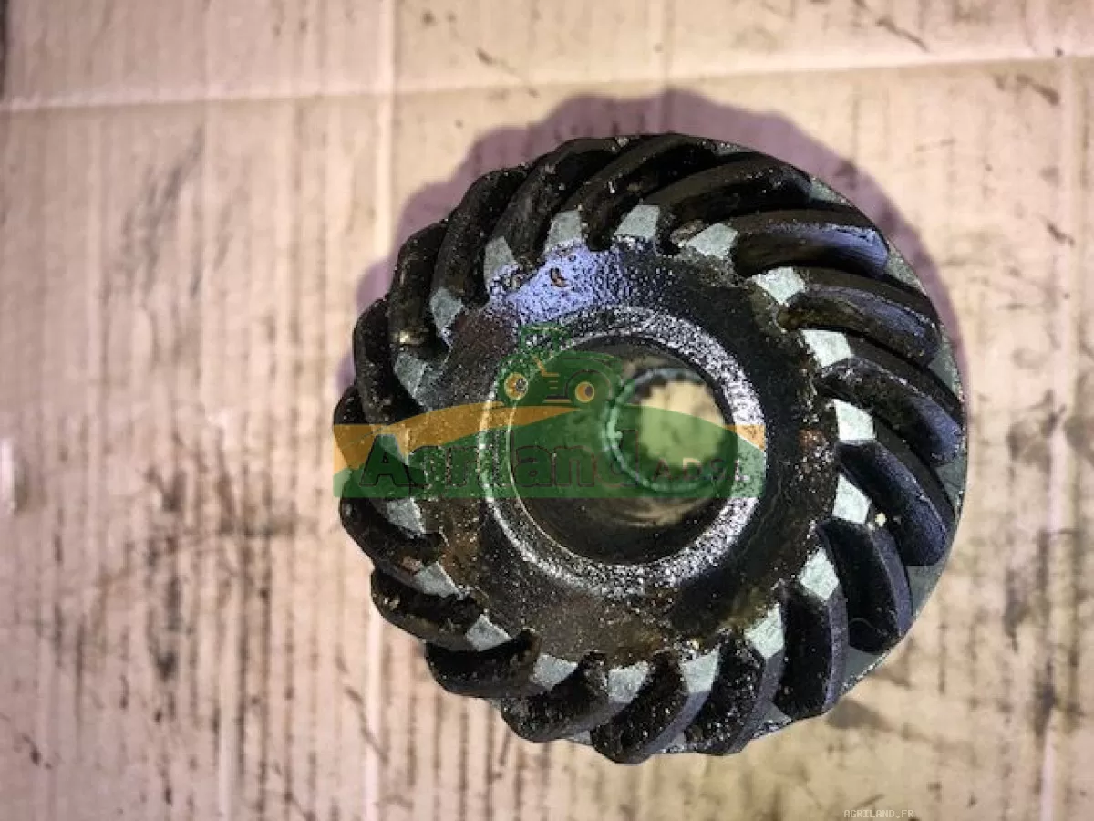 PIGNON CONIQUE POMPE DE GAVAGE Z19 LP : 1854