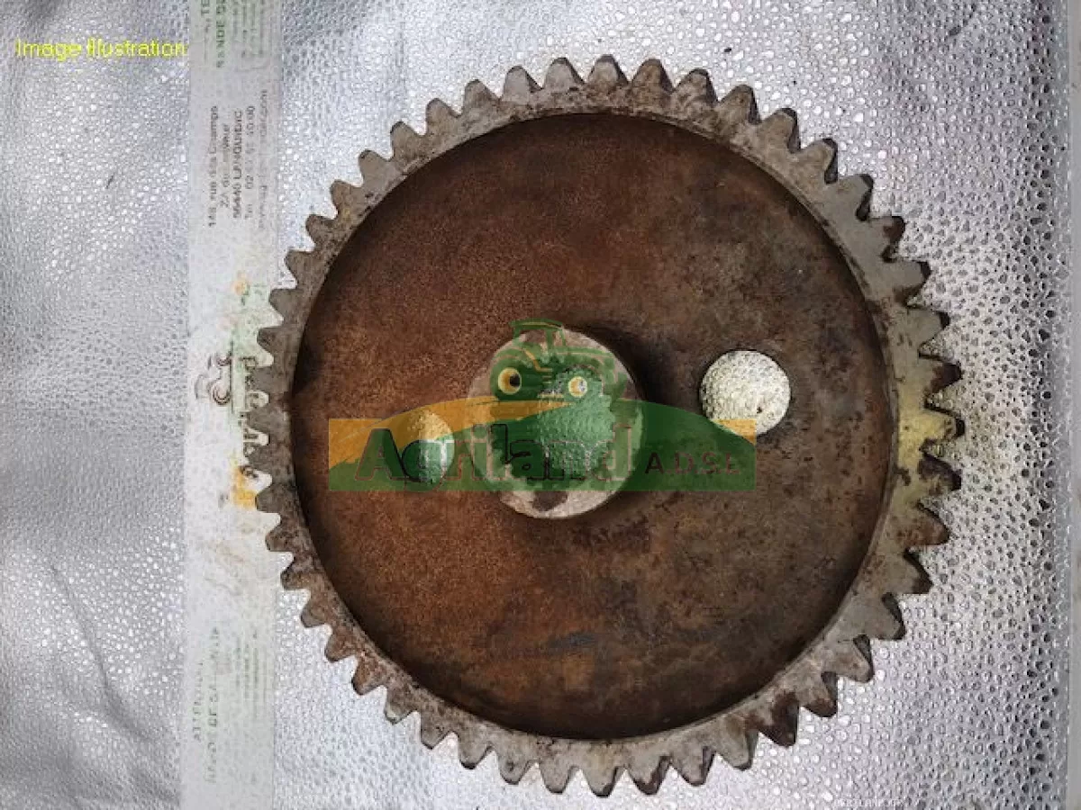 PIGNON LATERAL Z 48  LP : 364