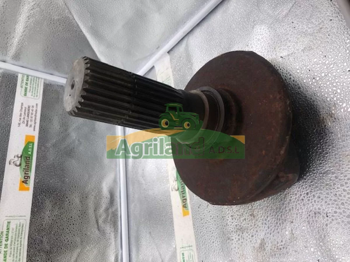 PORTE DENT CENTRAL  LP : 145