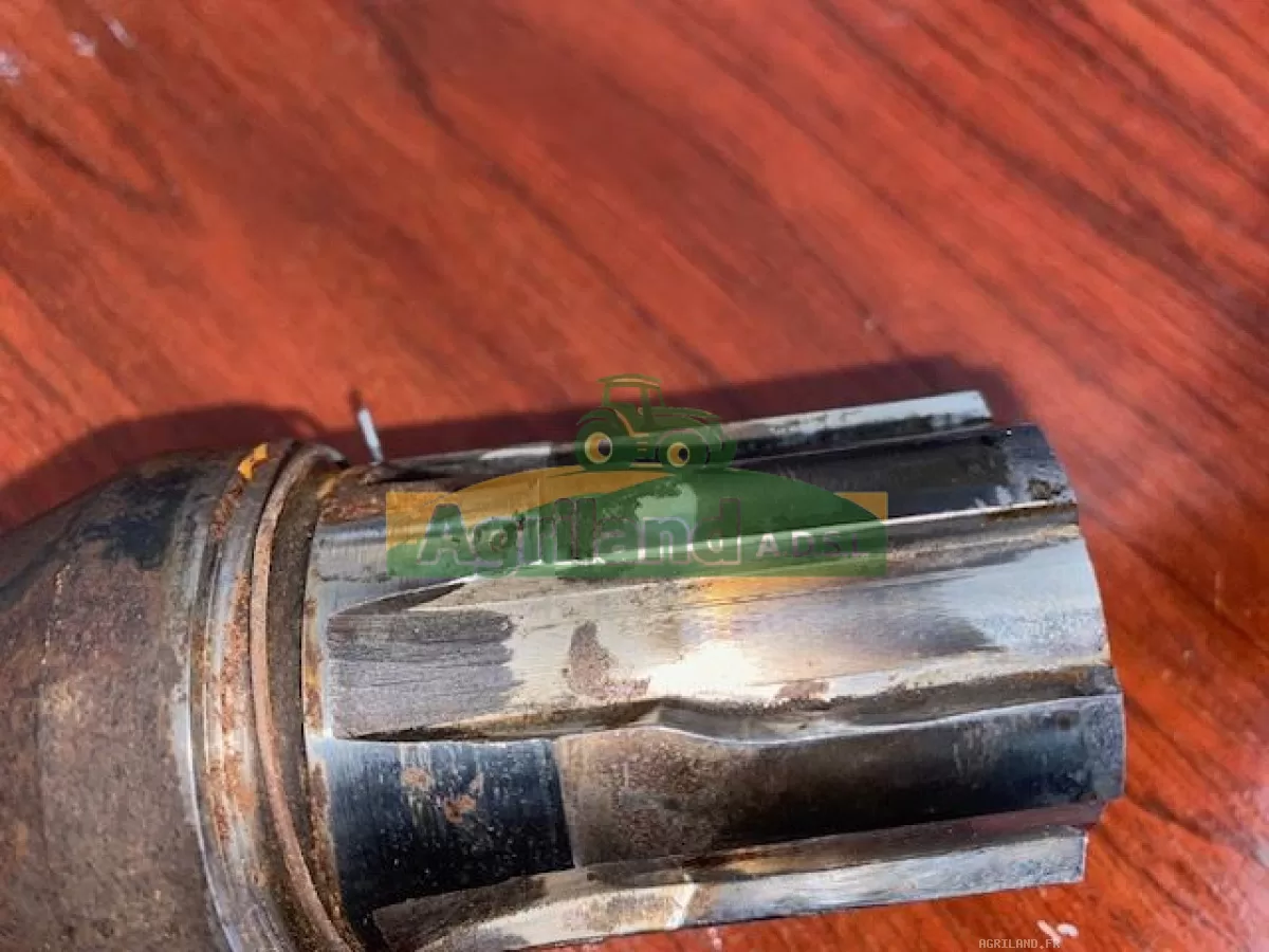 ARBRE SECONDAIRE LP : 1887