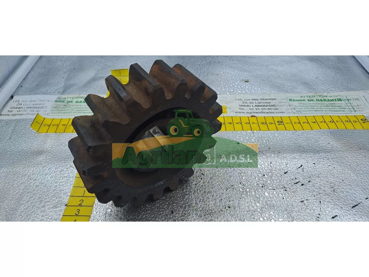 PIGNON Z19 BOITIER 1000 TOURS LP : 1887