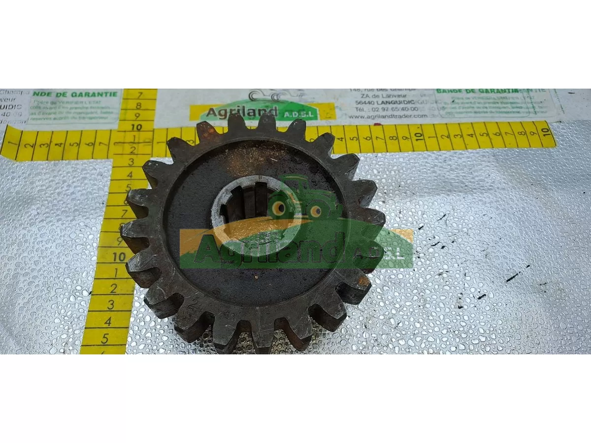 PIGNON Z21 LP : 1475