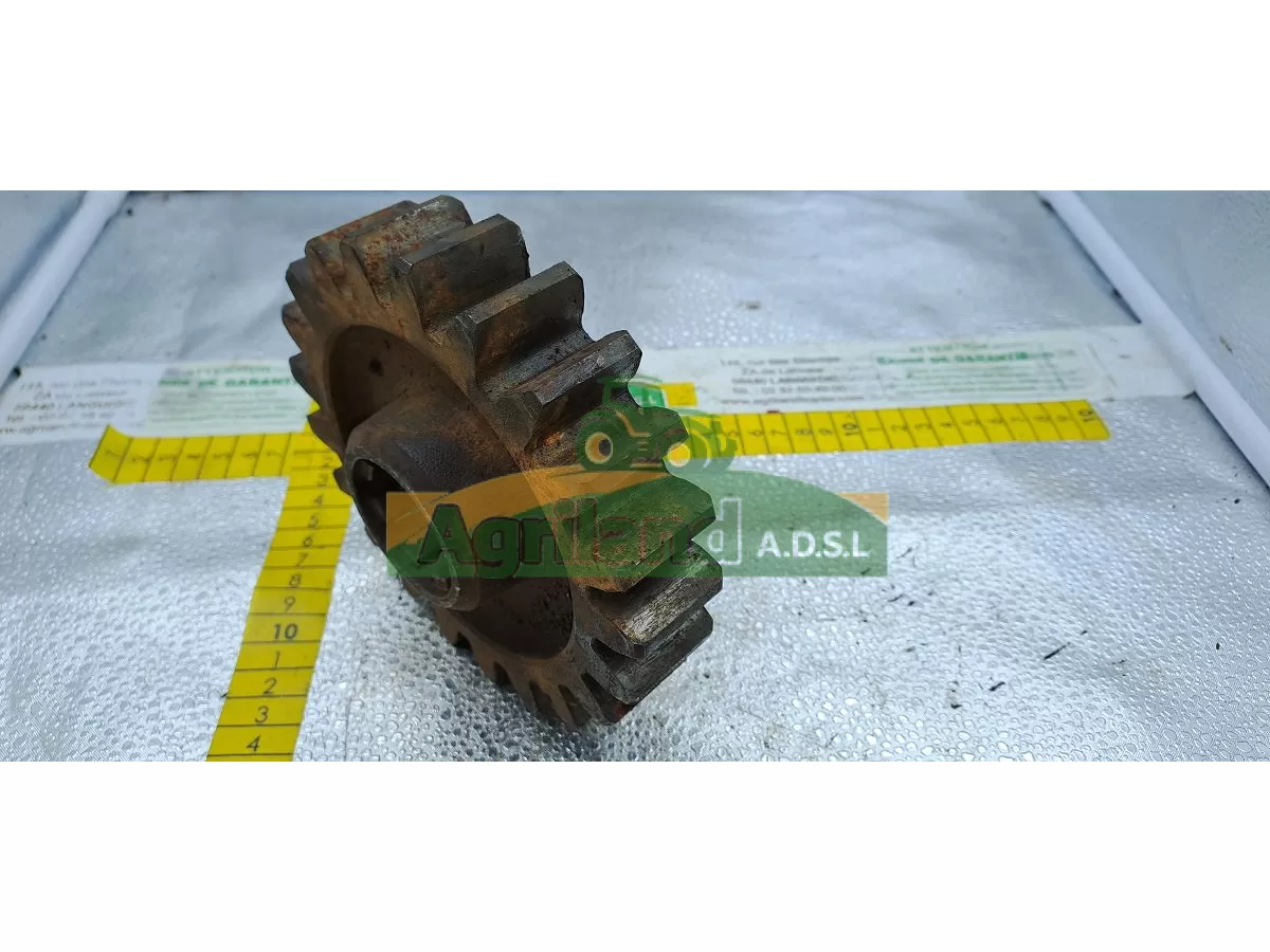 PIGNON Z21 LP : 1475
