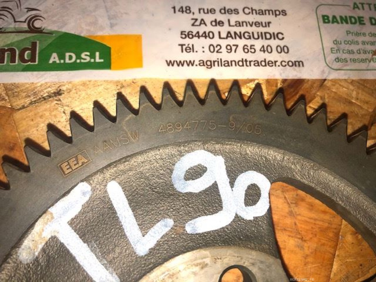 PIGNON Z72 DE L'ABRE À CAMES 