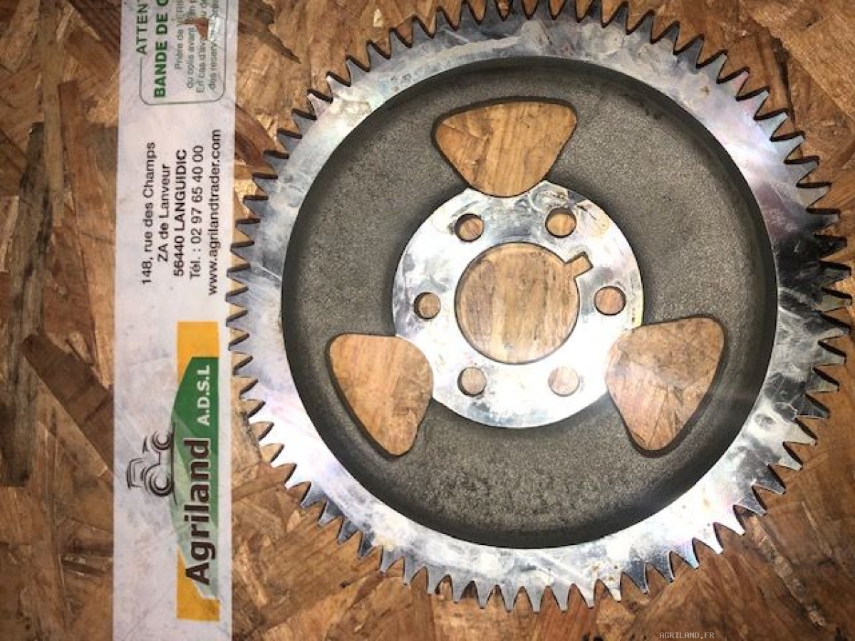 PIGNON Z72 DE L'ABRE À CAMES 