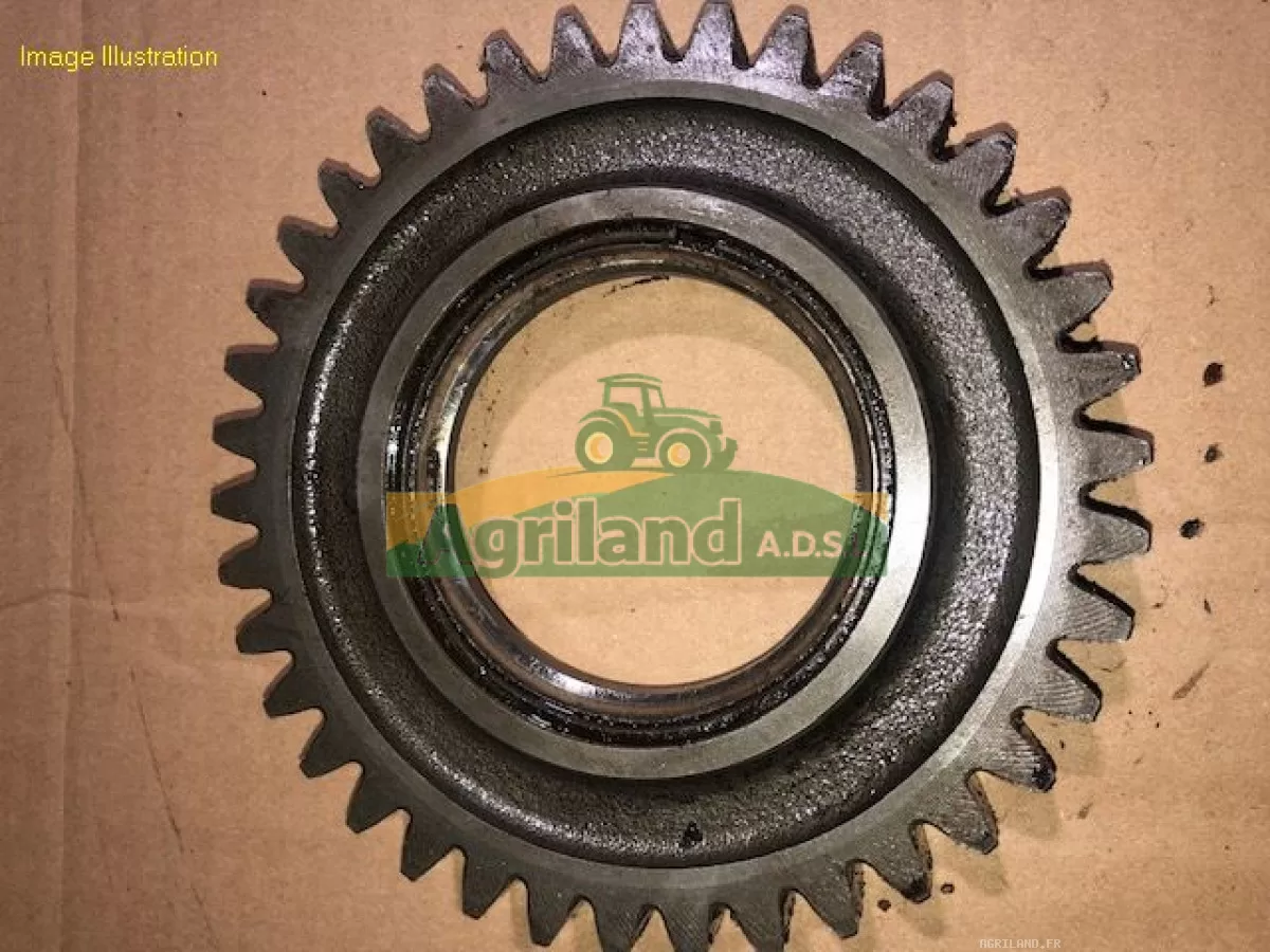 PIGNON INTERMEDIAIRE DE LAMIER Z38