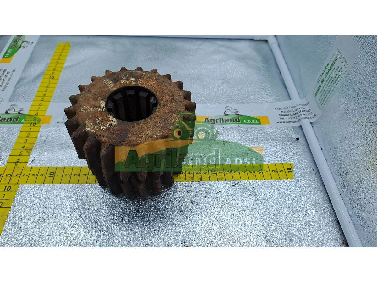 PIGNON A DENTURE OBLIQUE Z19/22