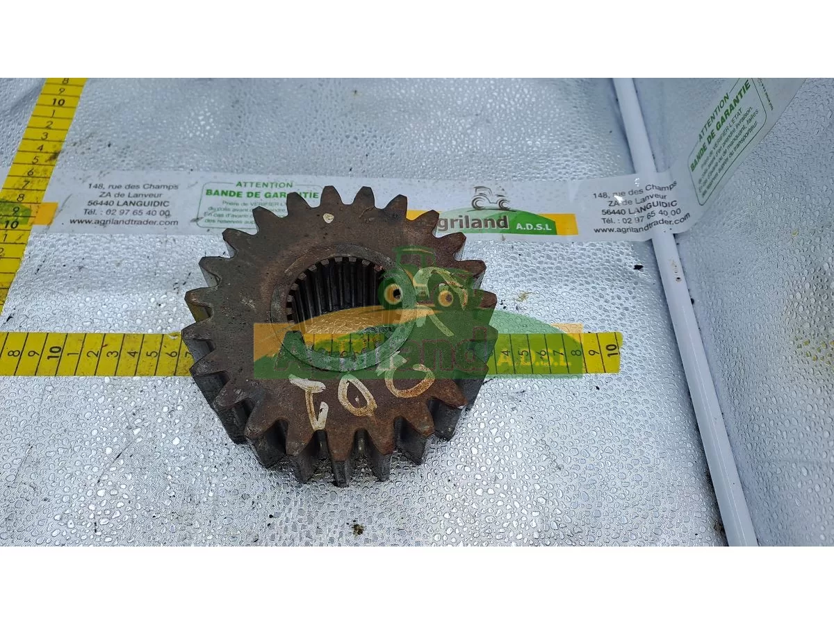 PIGNON Z23 DENTURE OBLIQUE