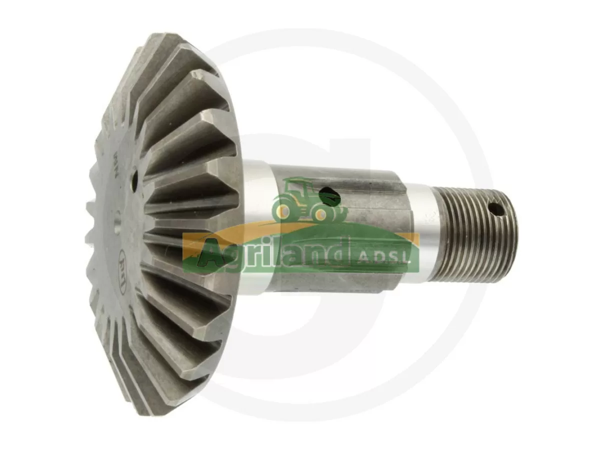 PIGNON Z23 DIAM SUR FILET =18