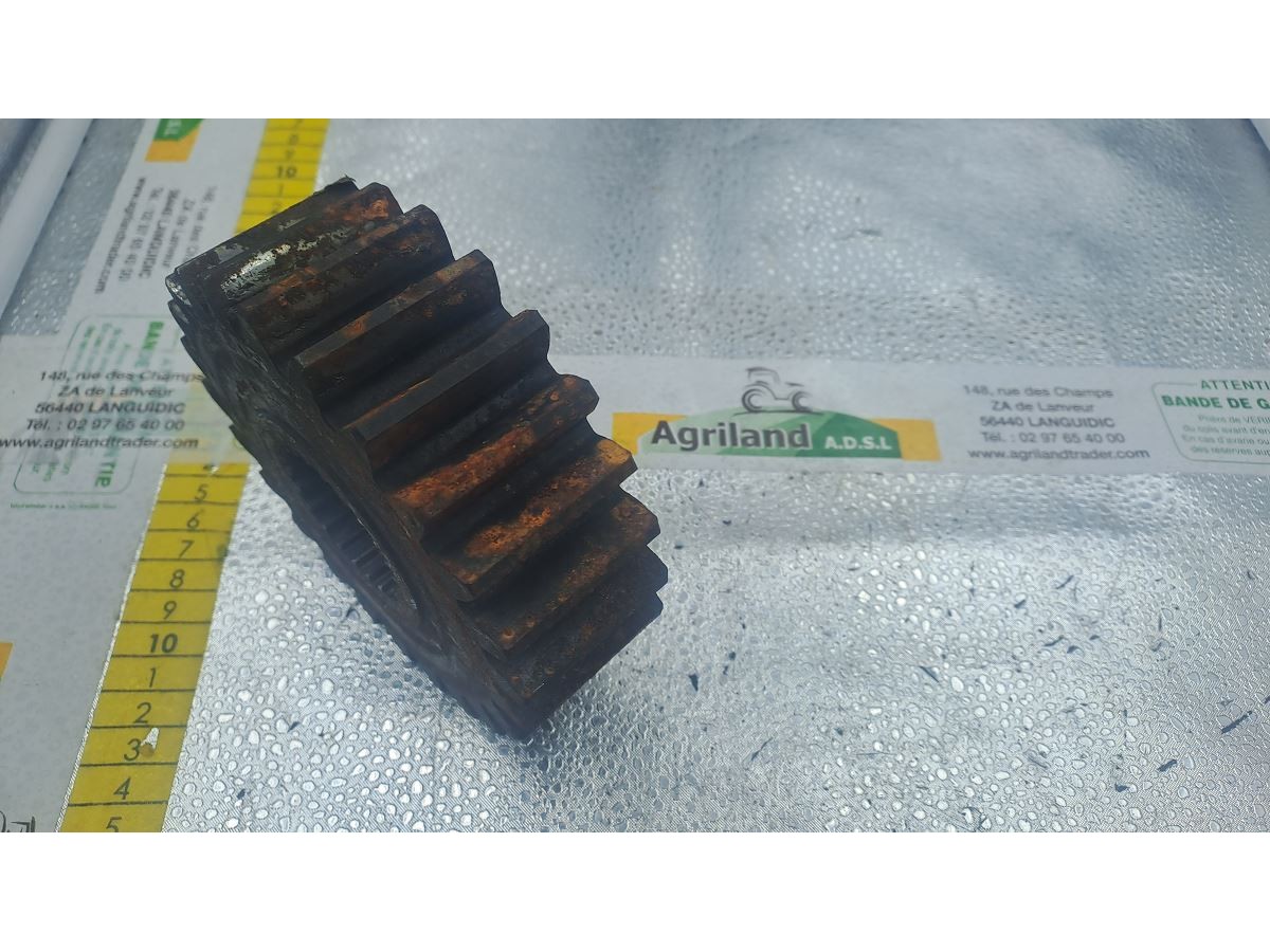 PIGNON A DENTURE OBLIQUE Z21