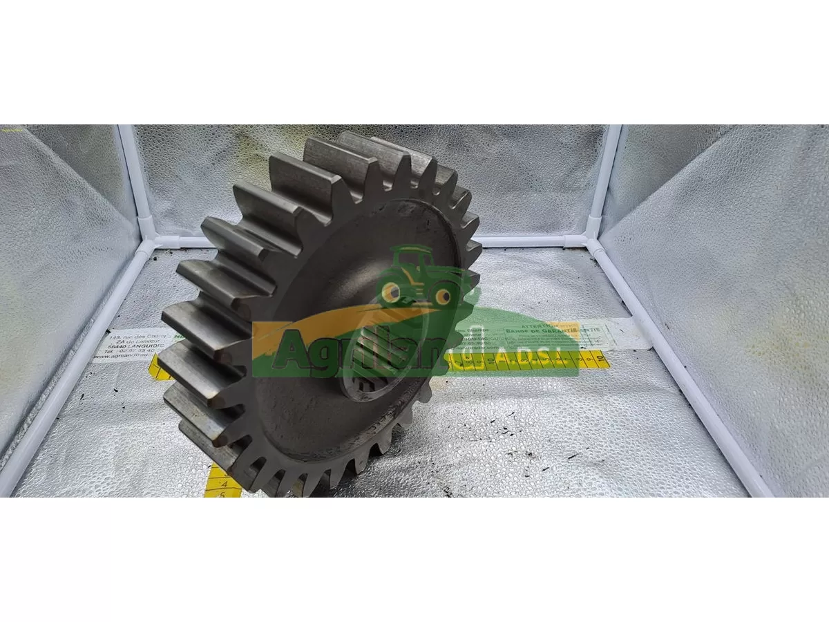 PIGNON INFERIEURE Z27 