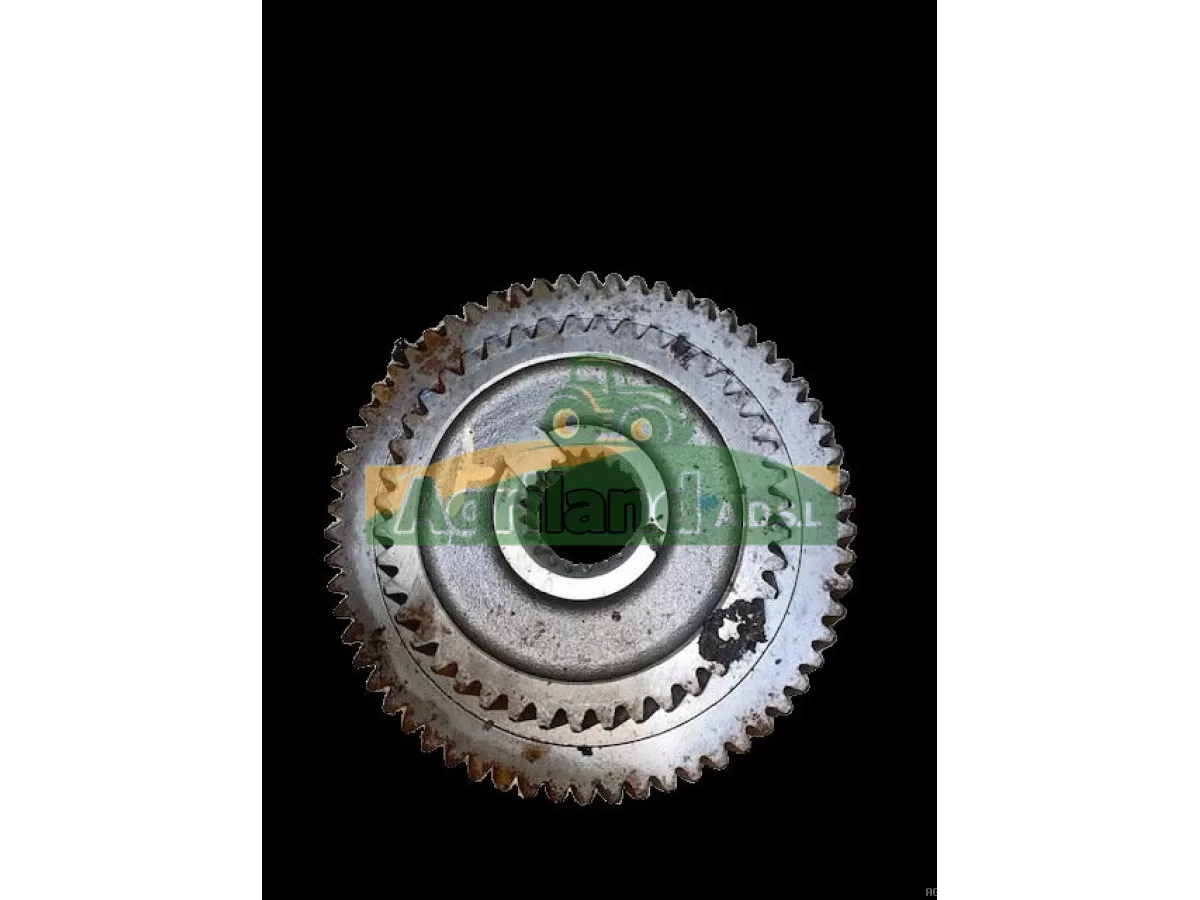 PIGNON DOUBLE Z43/62