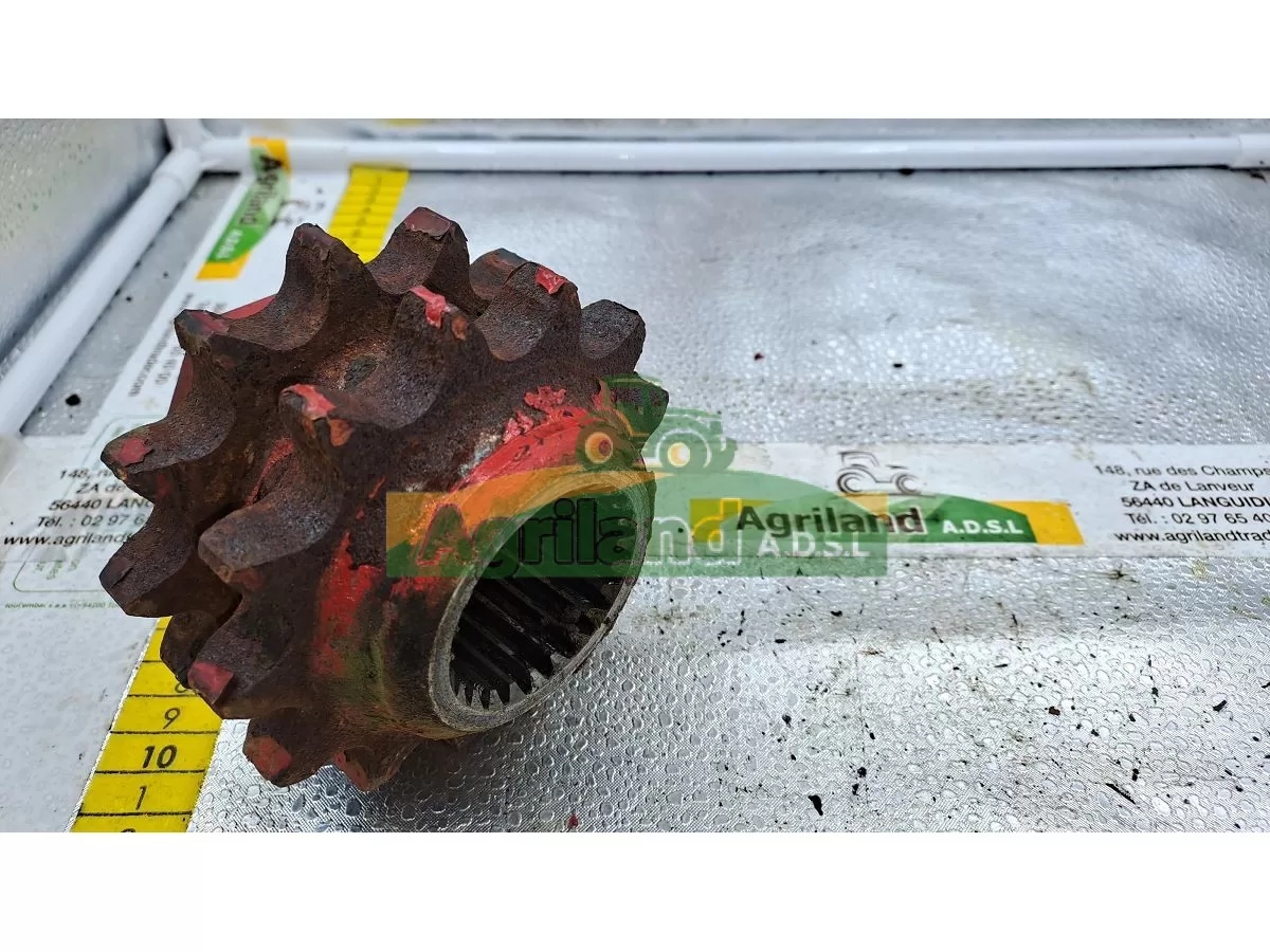 PIGNON DOUBLE Z13/13