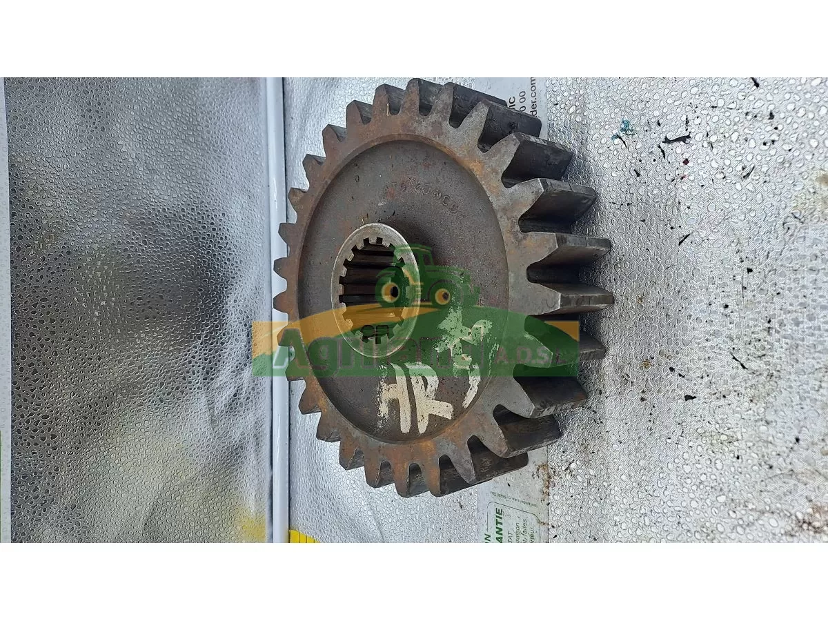 PIGNON Z27