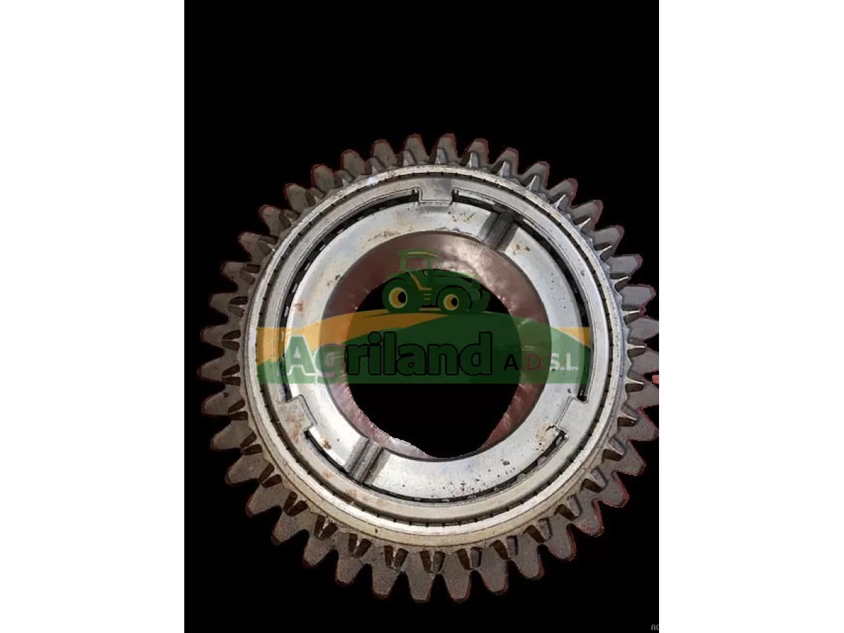 PIGNON D'ARBRE INTERMEDIAIRE Z40