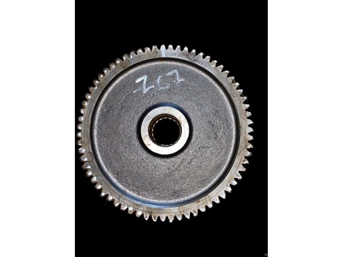 PIGNON Z67
