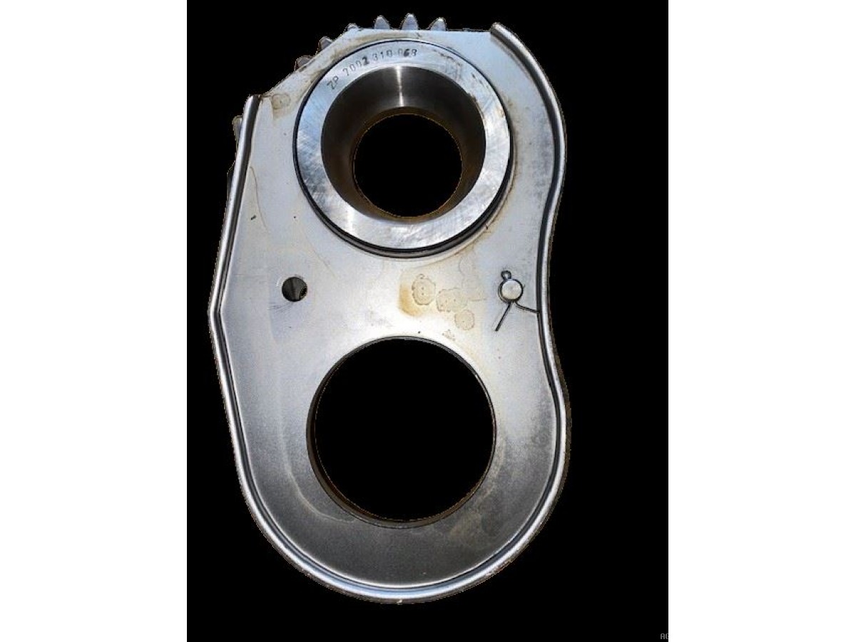 PIGNON Z29 AVEC TOLE 