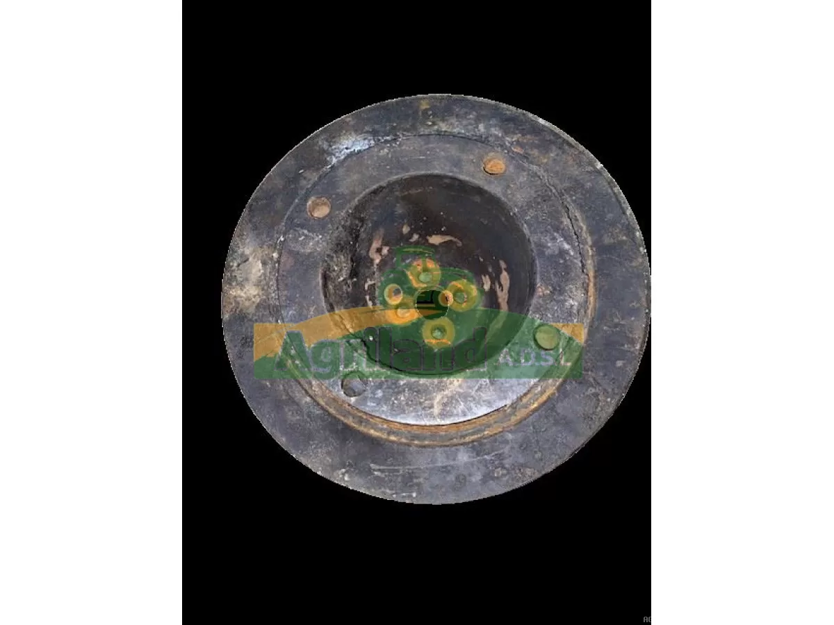 AMORTISSEUR DE TORSION 