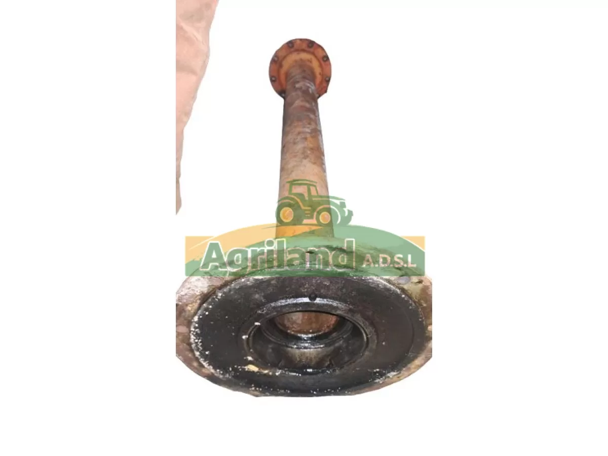 TROMPETTE (COTE ENTRAINEMENT)