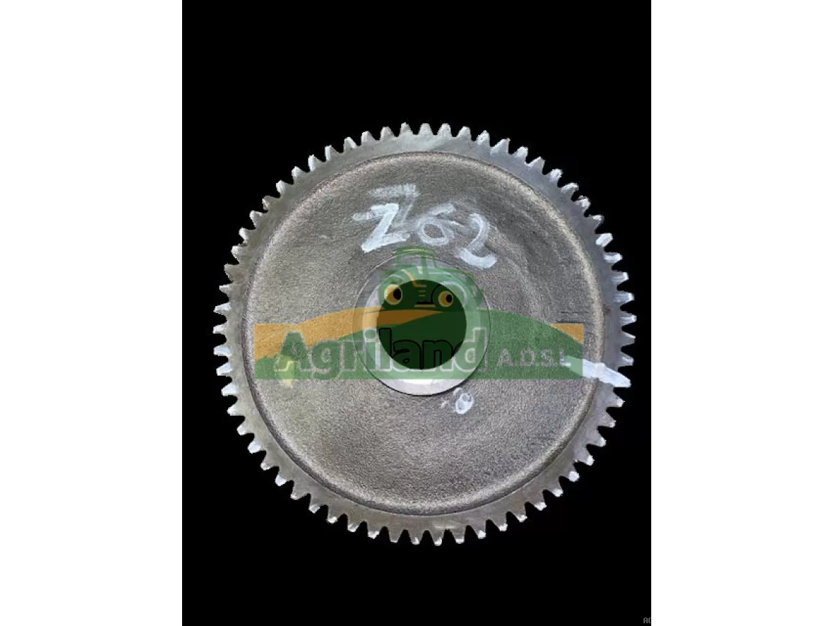 PIGNON DOUBLE Z43/62