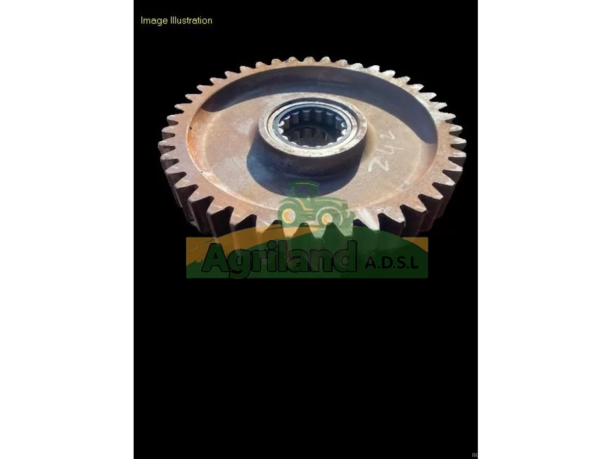 PIGNON Z42 