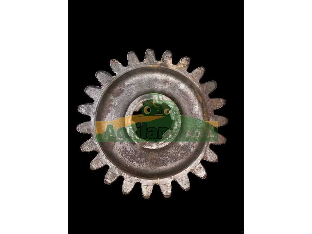 PIGNON Z23