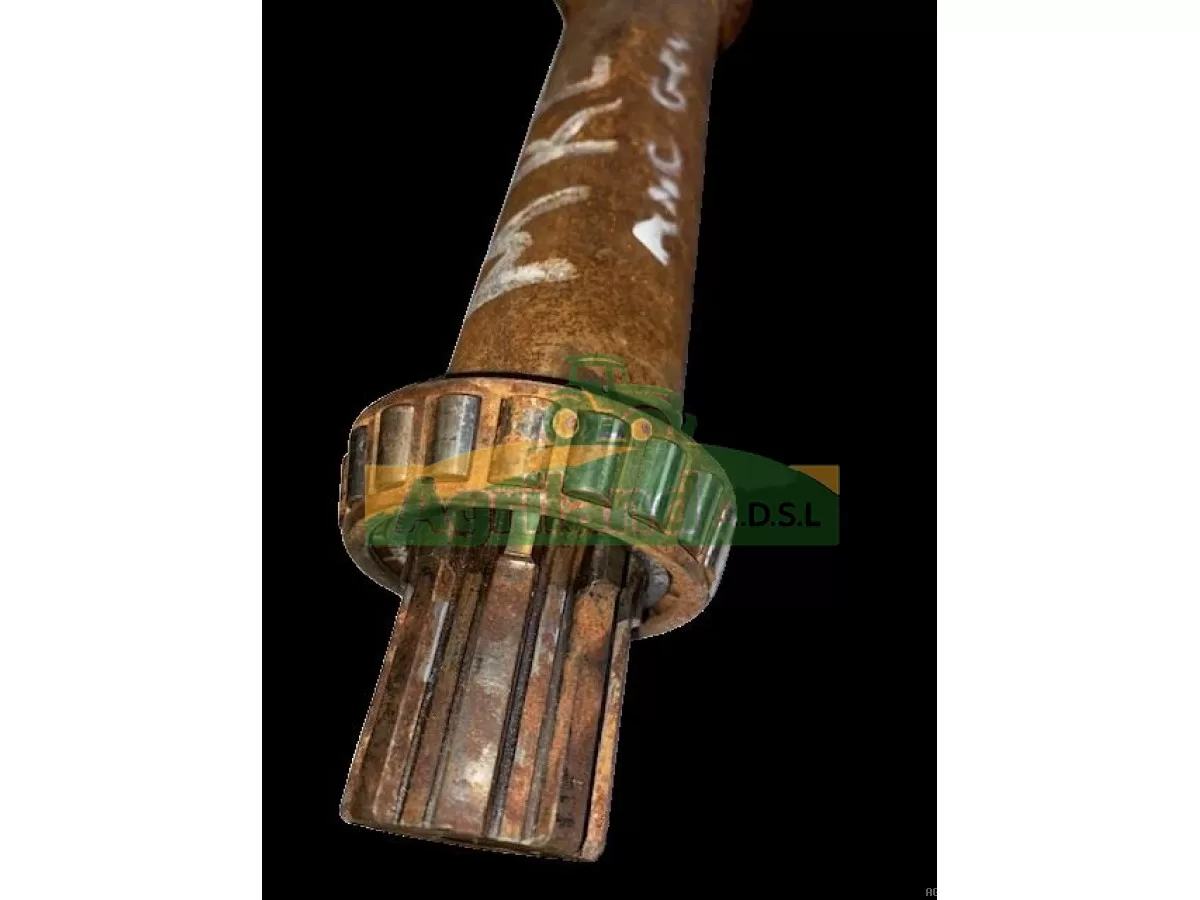 ARBRE MENANT ANCIENNE GENERATION 