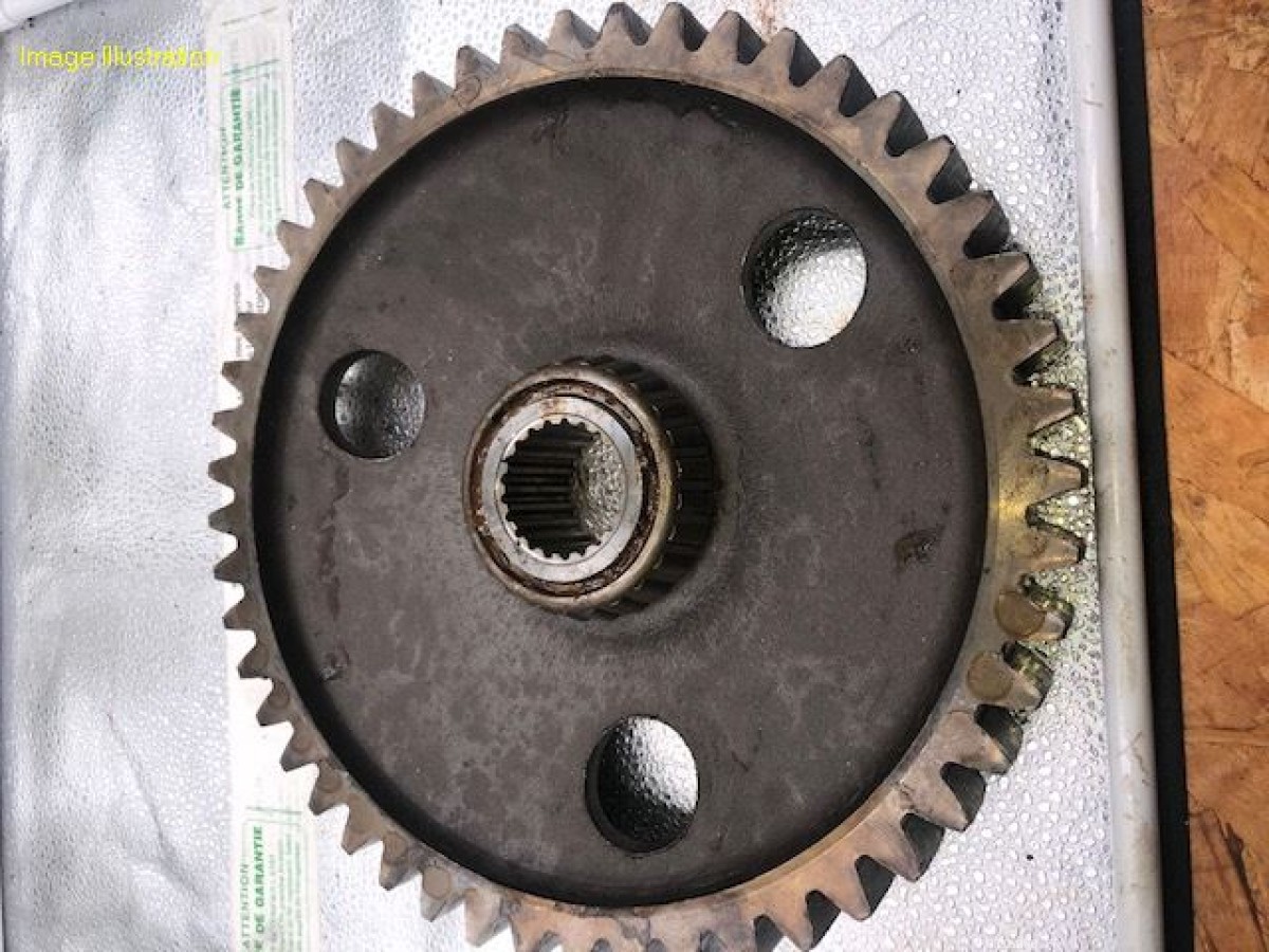 PIGNON LATERAL Z 49 