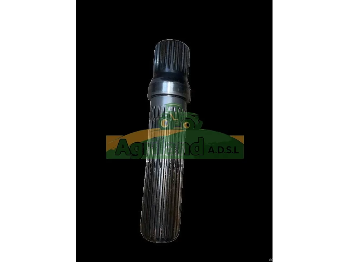 ARBRE CENTRAL HR Z26 