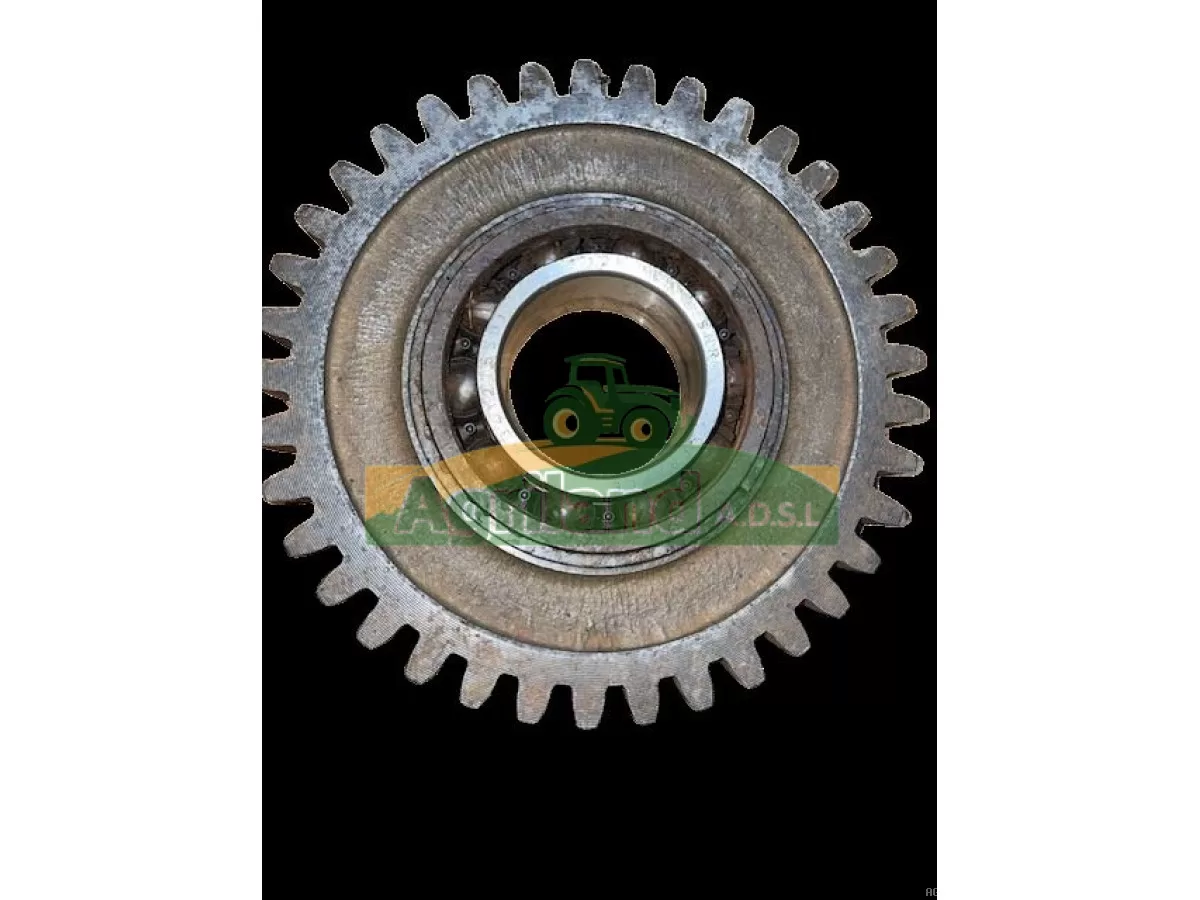 PIGNON INTERMEDIAIRE Z37 SPECIAL SERIE 10 
