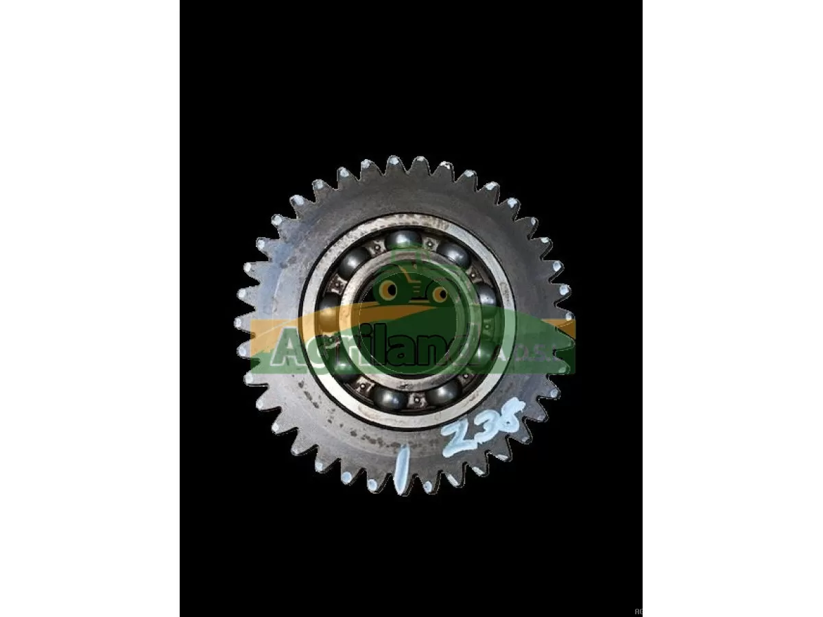 PIGNON INTERMEDIAIRE Z38