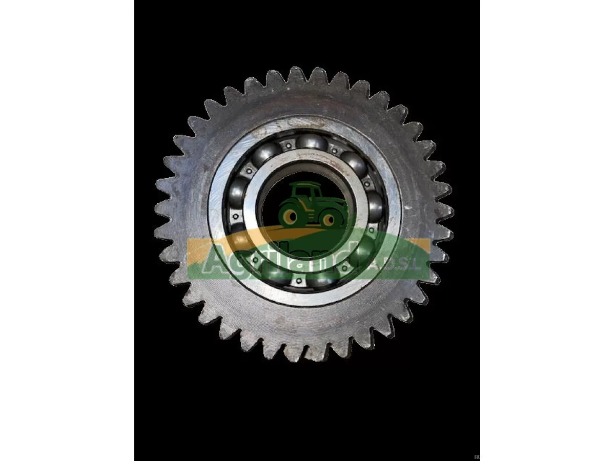 PIGNON INTERMEDIAIRE Z38