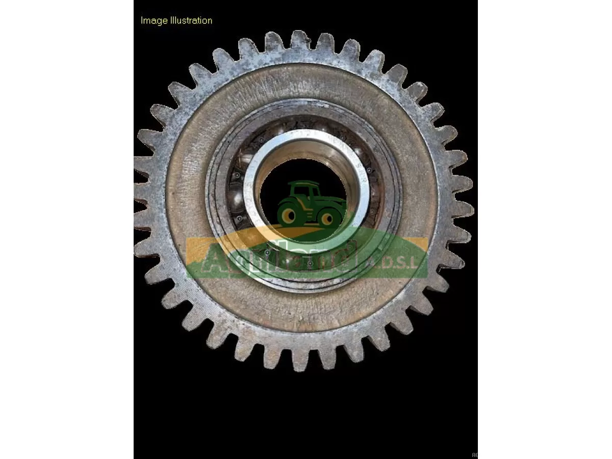 PIGNON INTERMEDIAIRE Z37 SPECIAL SERIE 10 