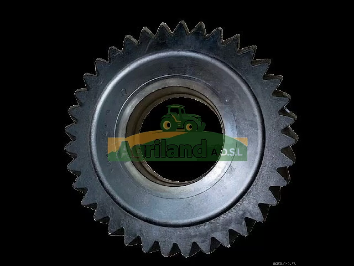 PIGNON  Z36
