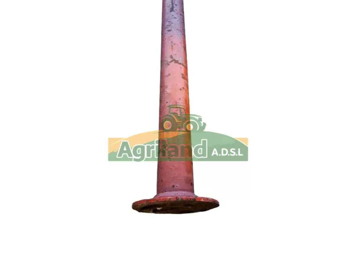 TROMPETTE (COTE ENTRAINEMENT)