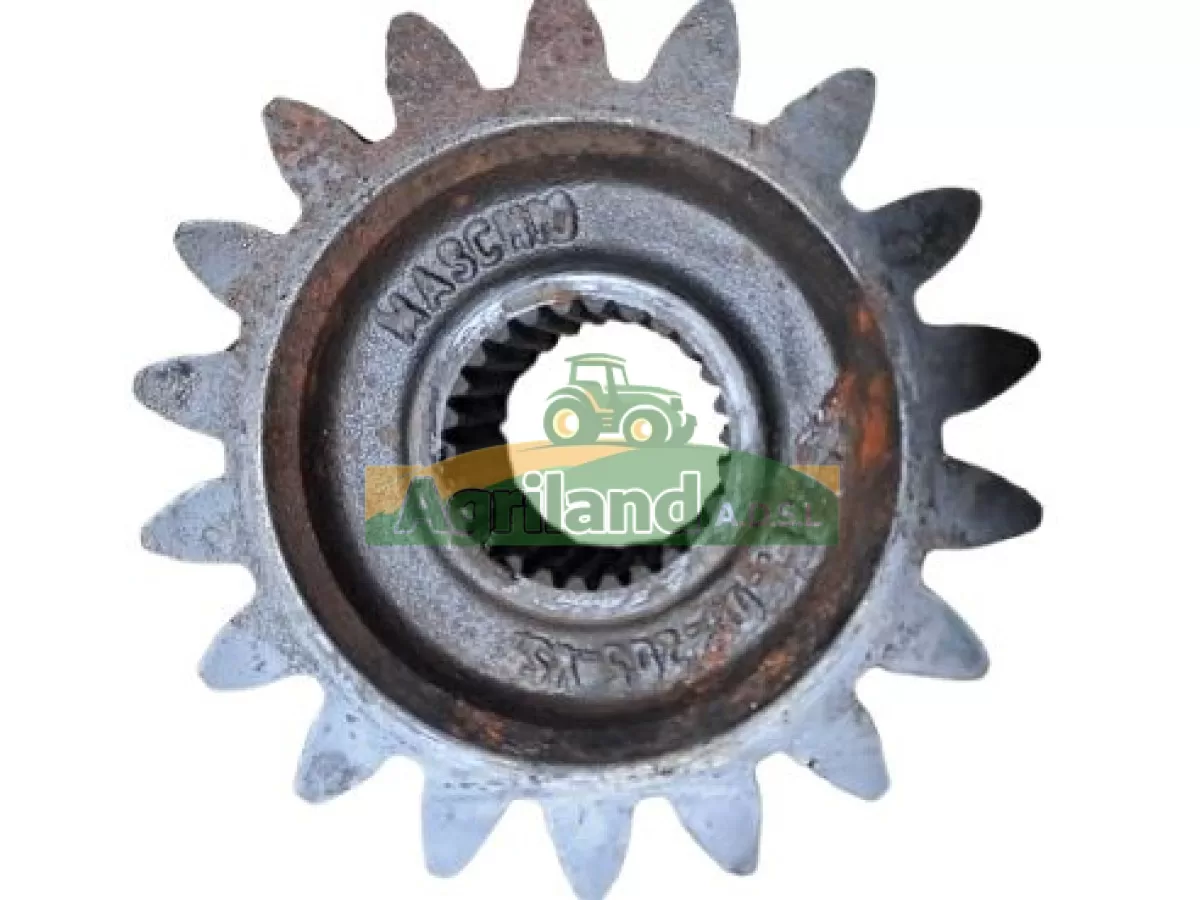 PIGNON SUPERIEURE Z18