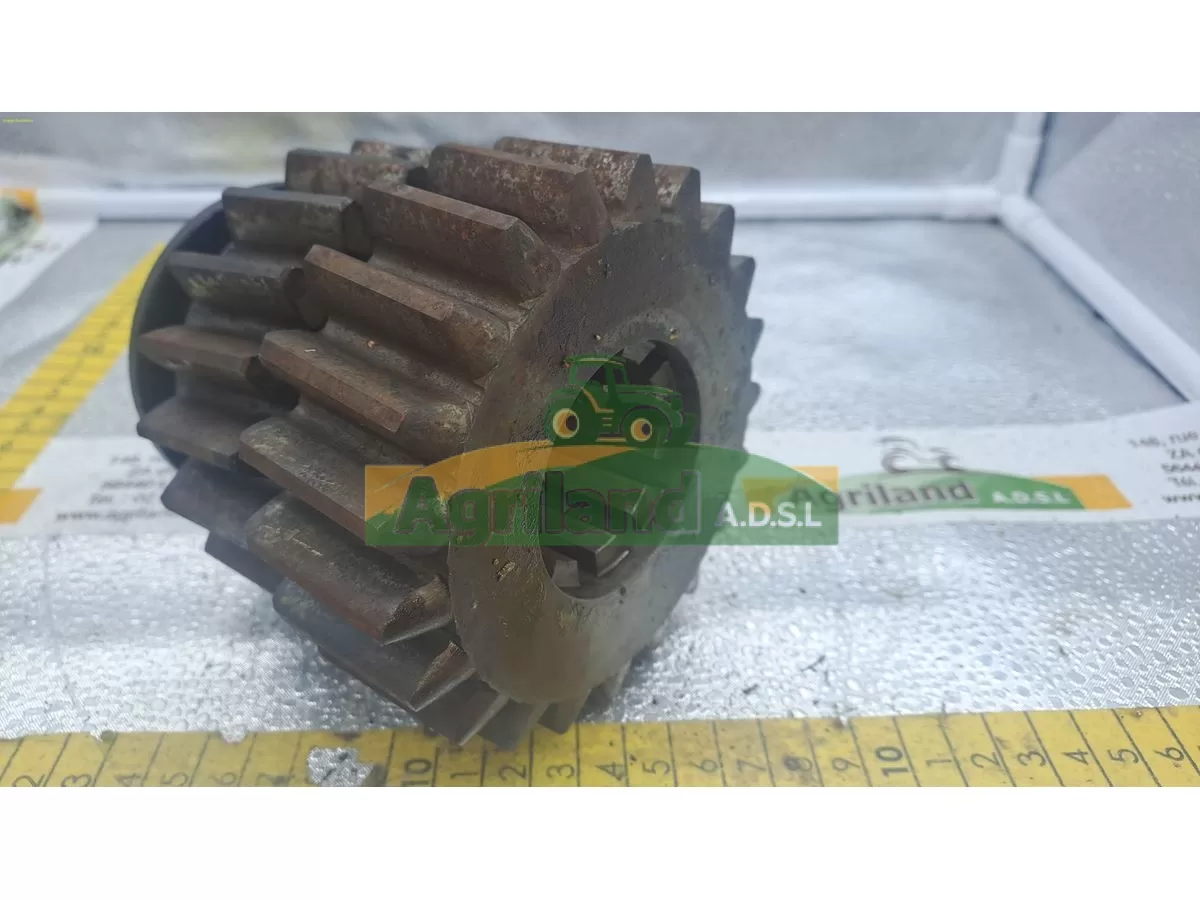 PIGNON DOUBLE Z19/Z21