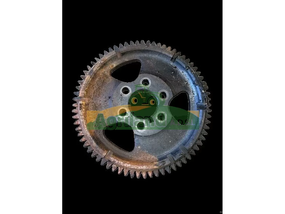 PIGNON DE L'ARBRE À CAMES Z72