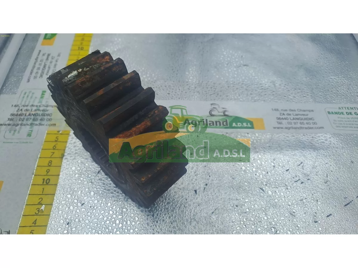 PIGNON A DENTURE OBLIQUE Z21
